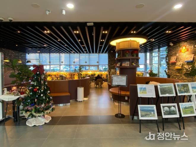 콩쥐팥쥐도서관문화허브로-도서관 1층 북카페