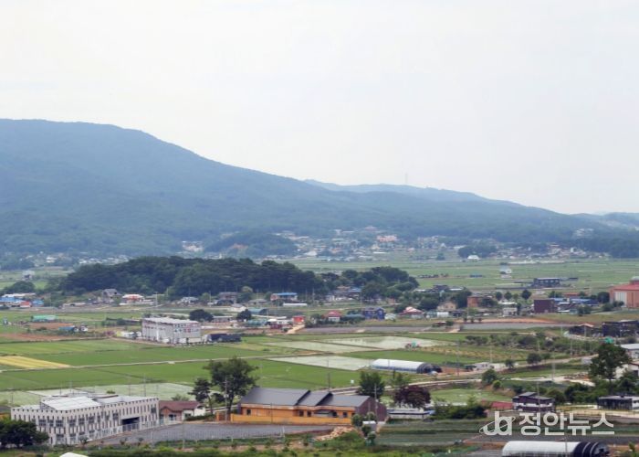 인천시는 길상면·화도면 일원 6.32㎢(약 190만평) 경자구역 신규지정을 추진 중이다. 실사는 지난 6월 중순 강화군 화도면 일대.