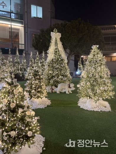 여행자의집, 크리스마스트리 점등