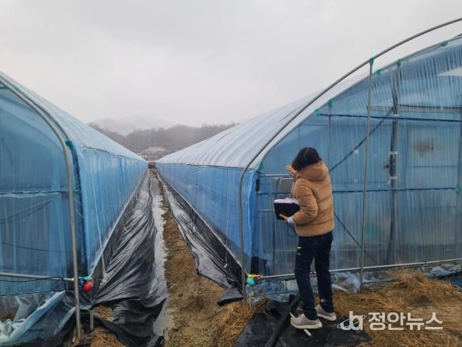 금산군농업기술센터 관계자가 겨울철 농업 시설을 점검하고 있다.