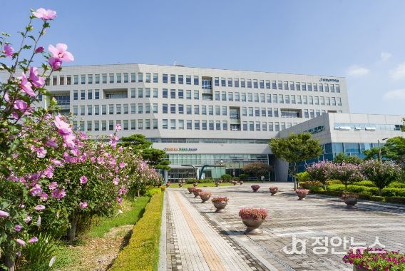 충남교육청