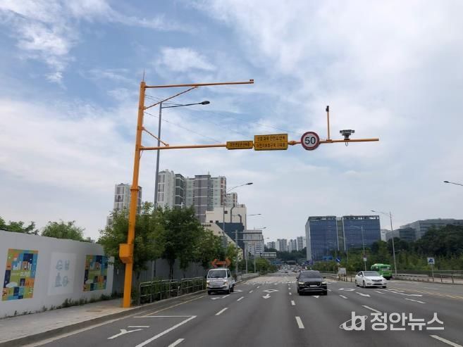 항동초등학교 인근 항동주민센터 앞에 새롭게 설치된 무인교통단속장비