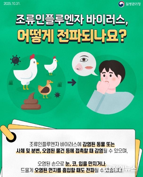시민 예방수칙 준수