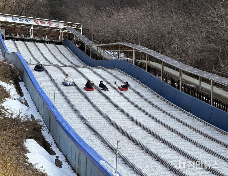증평좌구산 겨울 눈썰매장 1월 10일 개장