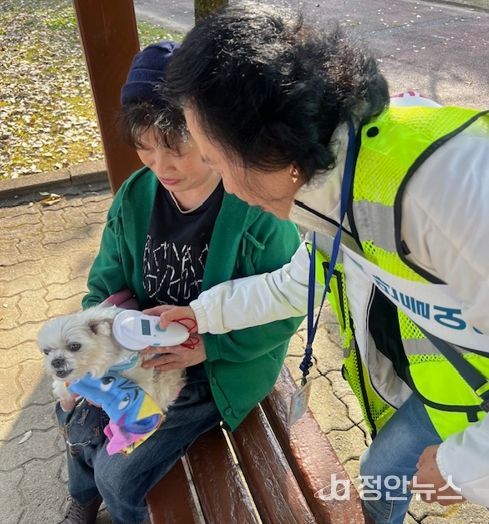 광주광역시, 동물학대 예방 명예동물보호관 모집