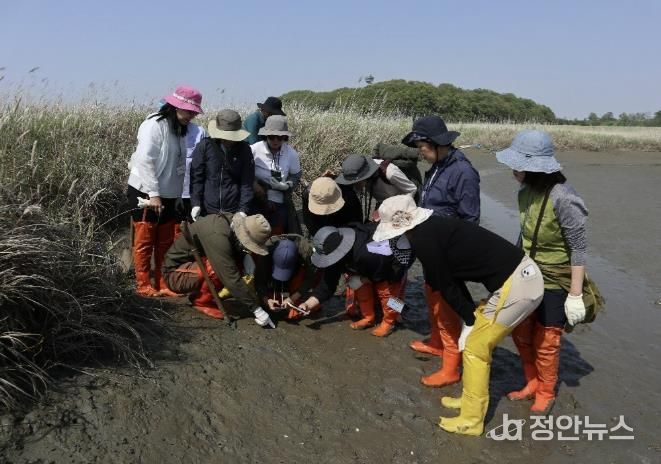 화성시생태관광사회적협동조합_활동사진
