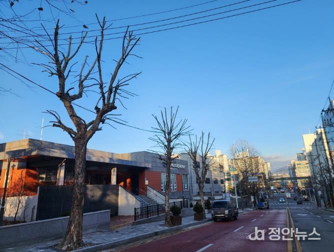 가로숲길 조성사업