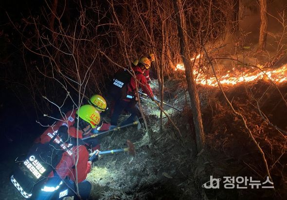 산불진화에 총력을 기울이고 있는 산림청 공중진화대원