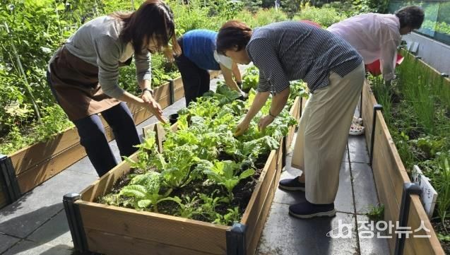 2025년 수원시민들이 수원시농업기술센터 치유농업 활성화 사업에 참여하고 있다.
