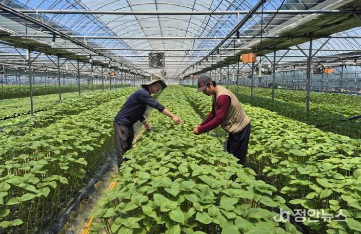 지난해 교육 모습