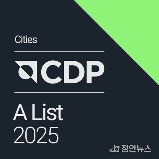 서울시 2025년 획득 A등급 배지
