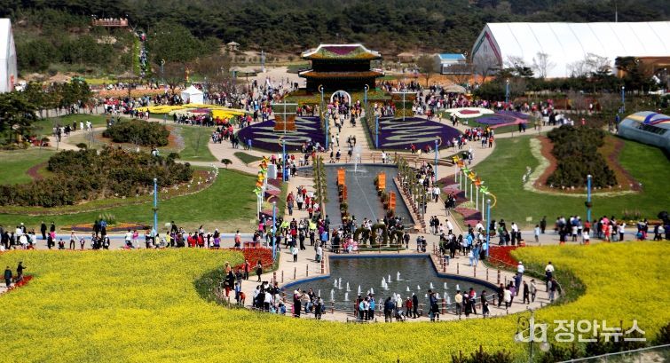 2026태안국제원예치유박람회 D-100, 개막 향해 준비 순항