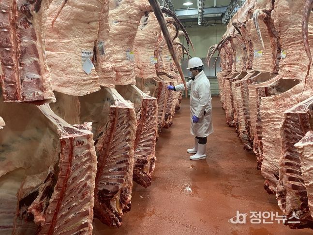 출하가축 도축검사