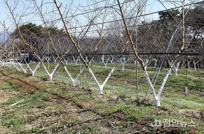 수성 페인트 도포 사진