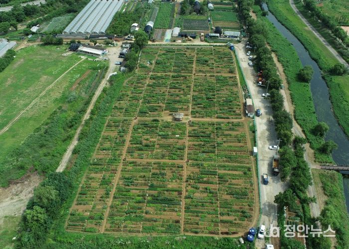 남동구, 2026년 공공 주말농장 텃밭 분양