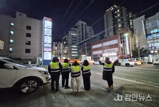 김해시 도심 떼까마귀 불편 최소화 ‘총력’