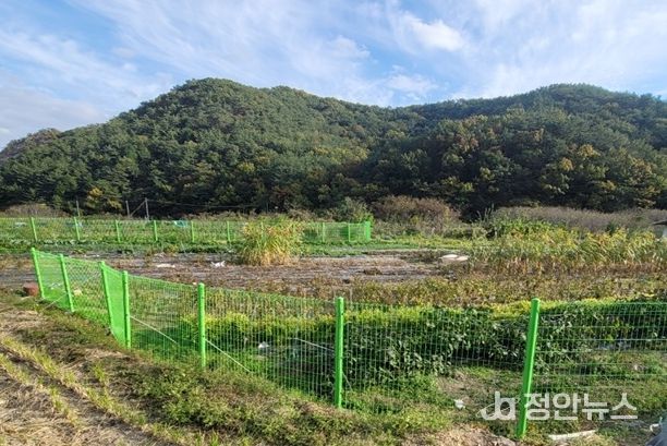 창원특례시, ‘야생동물 피해예방시설 설치 지원사업’ 추진