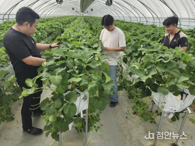 2025년 신규농업인 현장실습교육 현장