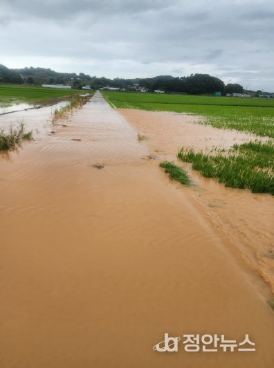 작년 7월 누동지구, 죽림지구 침수 피해 현장 모습.