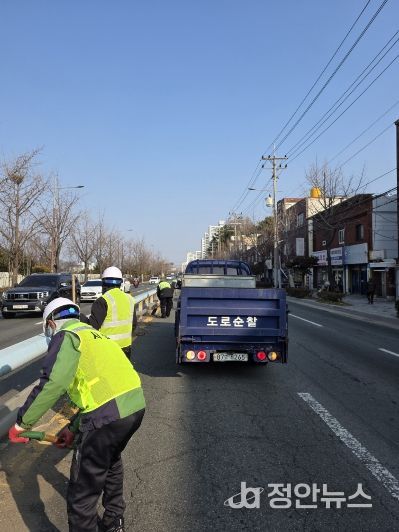 부산 사상구, 백양대로 중앙분리대 잡초제거 작업 실시