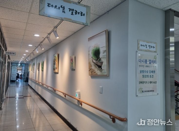 다시봄갤러리, 정미영 작가 수채화 전시