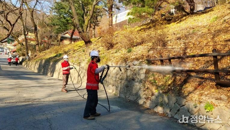 강북구 산림재난대응단이 산불지연제를 살포하고 있다.
