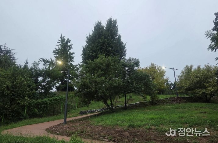 대구 동구, 신암공원 북편 진입로 공원등 설치