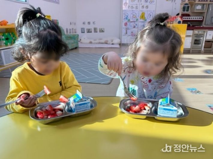 2026년도 어린이집 과일간식 공급 개시