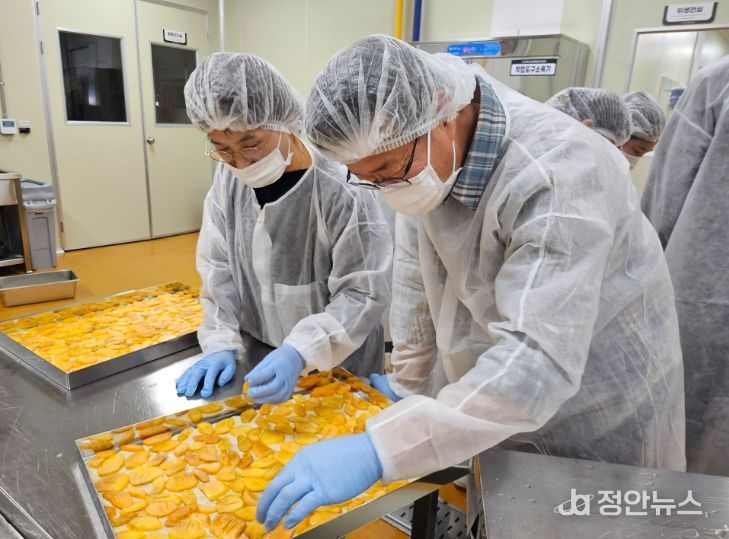 ,‘농산물가공 창업 아카데미’교육생 모집