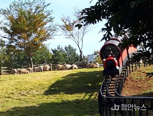 거제 숲소리공원, 연계 관광으로 경쟁력 강화
