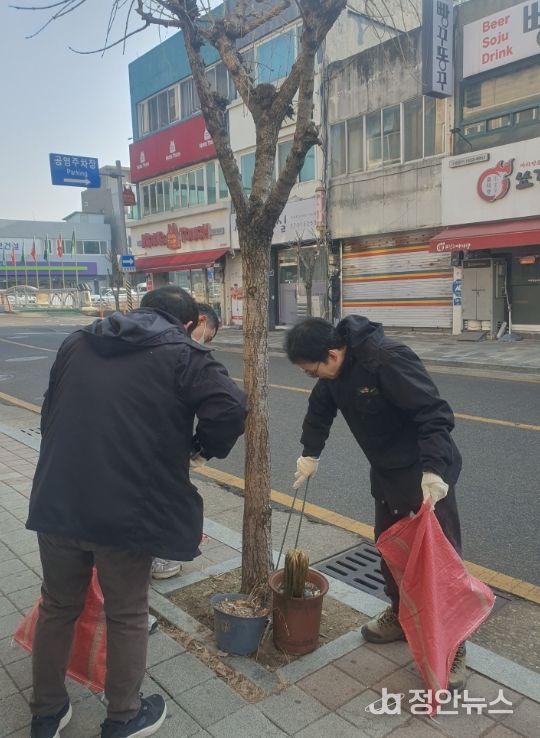 깨끗한 국토를 만들기 위한 '우리 동네 새 단장'