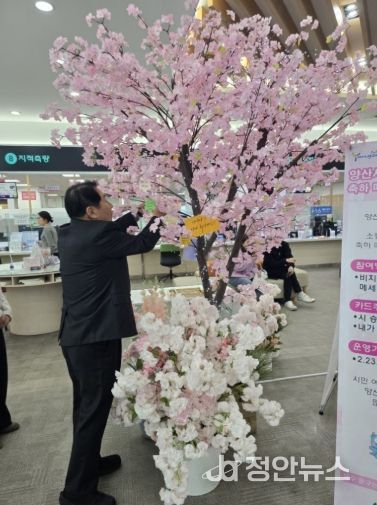 시승격 30주년 기념 축하메시지 트리 운영