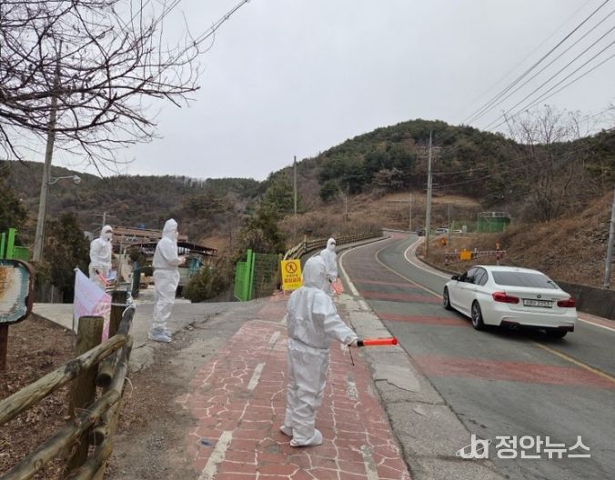긴급 방역조치 총력