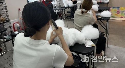 익산시, 학교 밖 청소년의 꿈 키운다