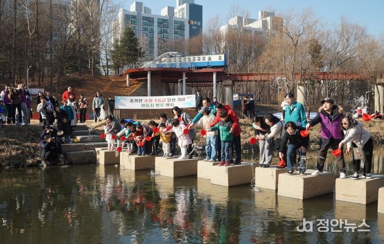 승기천 생태하천 ‘발돋움’…1급수 대표종 버들치 방류