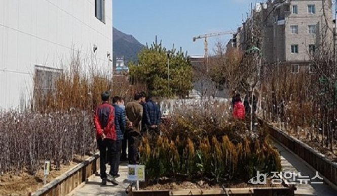 고창군산림조합, 2026년 나무시장 개장