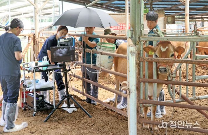 임실군, 저지종으로 임실N치즈 명품화 가속 페달
