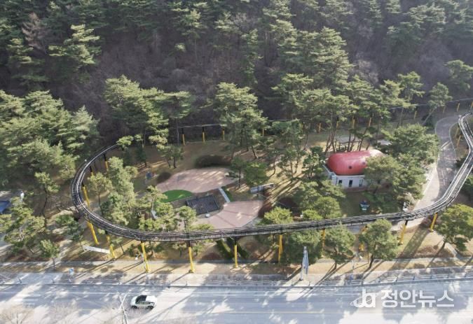 보은군, 산림교육·체험공간 ‘속리산 유아숲체험원’ 조성 박차