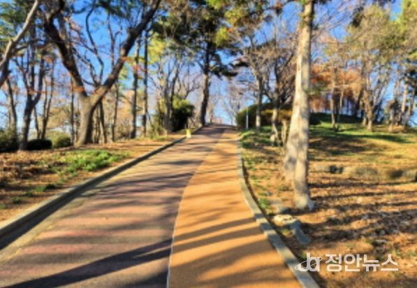 고성군, 남산공원 봄맞이 공원시설 정비 추진(코르크바닥길)