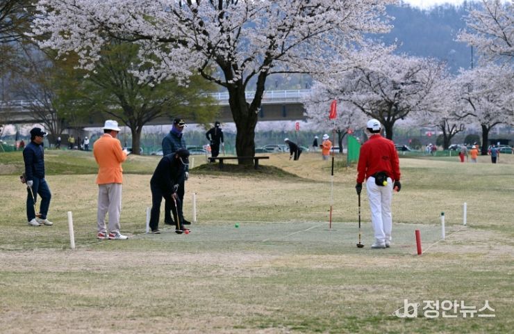 2025년에 밀양파크골프장에서 열린 ‘연합뉴스TV-밀양시 전국 파크골프대회’ 결선 경기 모습
