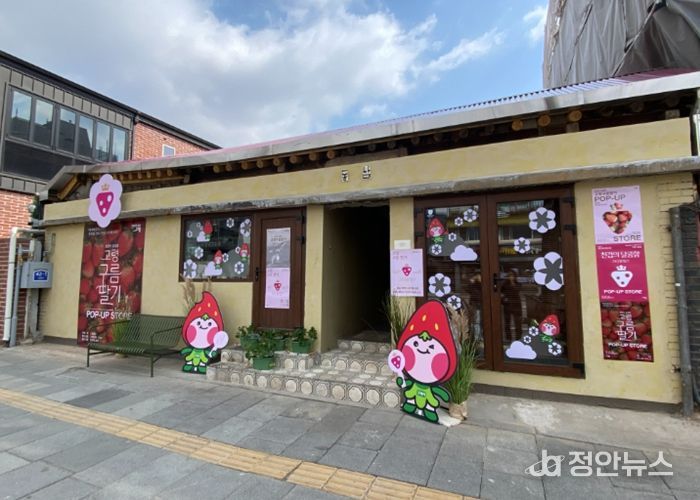 서울 서촌에서 ‘고령구름딸기’팝업스토어 오픈