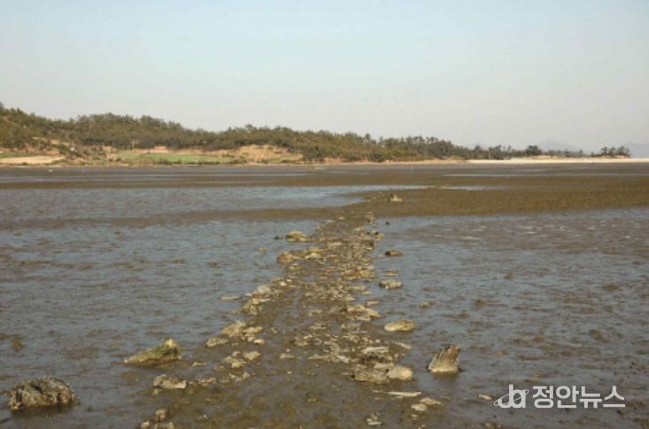 신안군 팔금도 거사리의 노둣길