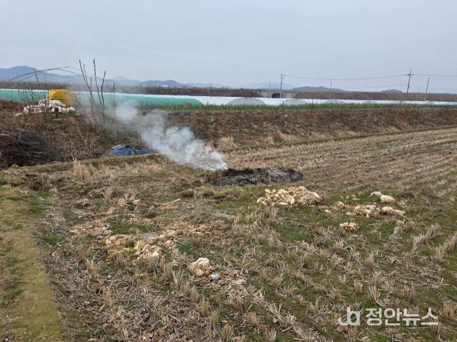 농촌지역 불법 소각 집중 단속 산불위기경보 ‘경계’ 격상