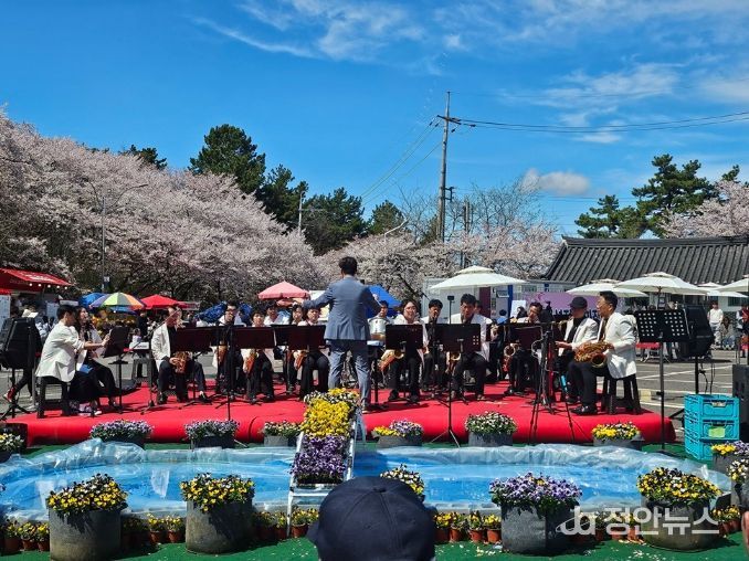 사천시 제7회 선진리성 벚꽃축제
