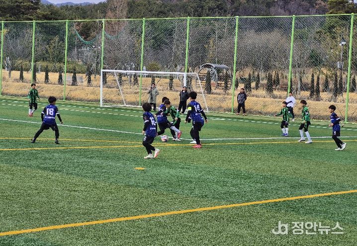 고성군,「2026 경남 초등리그」본격 운영… 지역 유소년 축구 열기 고조
