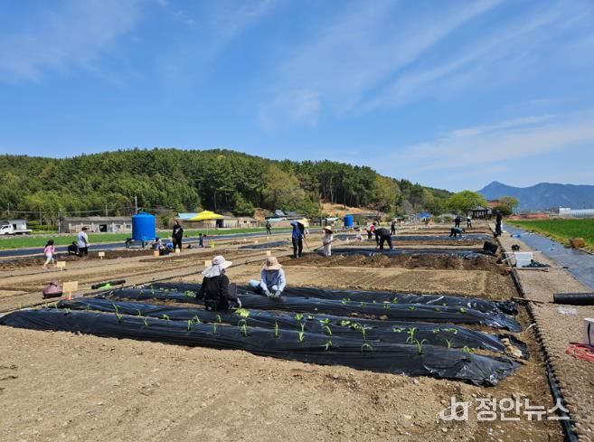 고성군, 주말농장 개장! “농업 체험하며 힐링”