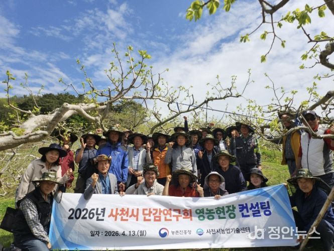 사천시, 농촌진흥청과 협력해 단감 품질 고급화 나서