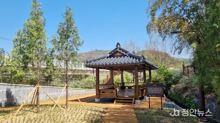 대구 동구청은 도동 측백나무숲 산림생태복원 사업을 완료했다.