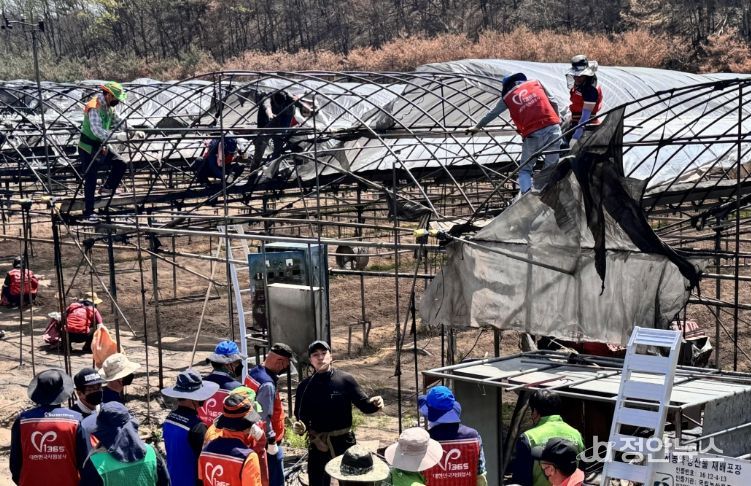 산불 피해 현장 복구